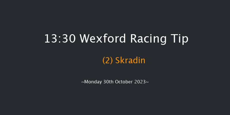 Wexford 13:30 Novices Hurdle 16f Sun 29th Oct 2023