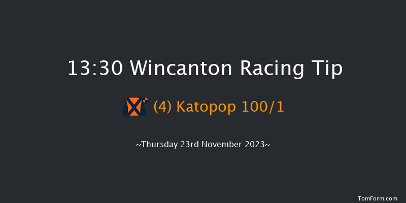 Wincanton 13:30 Maiden Hurdle (Class 4) 21f Sat 11th Nov 2023