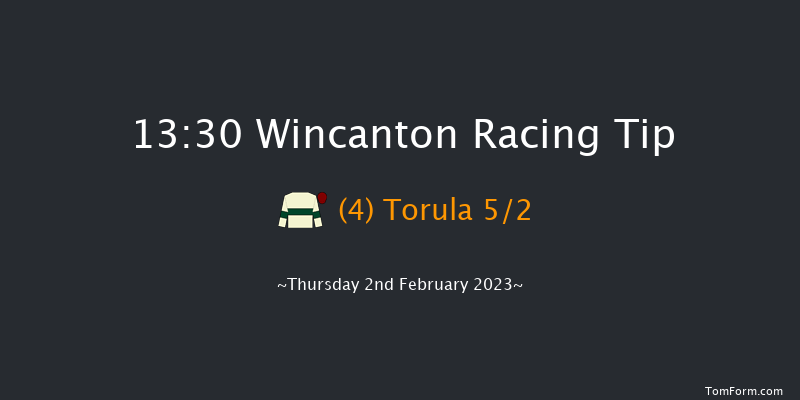 Wincanton 13:30 Handicap Hurdle (Class 5) 20f Sat 7th Jan 2023
