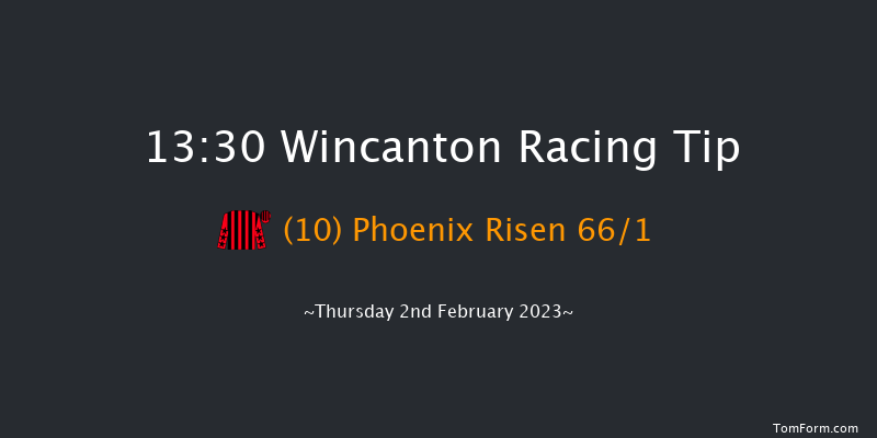 Wincanton 13:30 Handicap Hurdle (Class 5) 20f Sat 7th Jan 2023