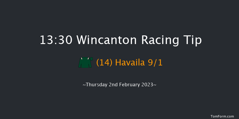 Wincanton 13:30 Handicap Hurdle (Class 5) 20f Sat 7th Jan 2023