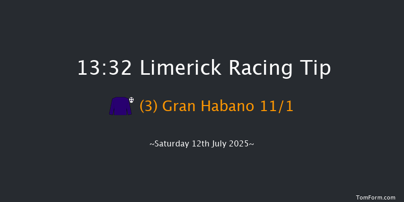 Limerick 13-32 6f Sat 21st Jun 2025
