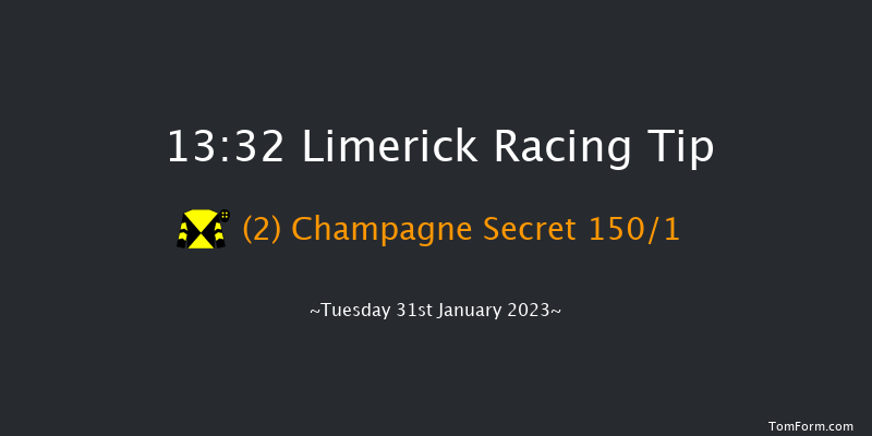Limerick 13:32 Maiden Hurdle 16f Thu 29th Dec 2022