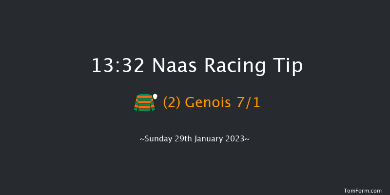 Naas 13:32 Handicap Chase 20f Sun 8th Jan 2023