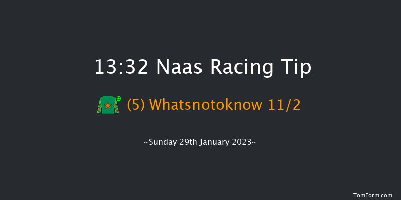 Naas 13:32 Handicap Chase 20f Sun 8th Jan 2023