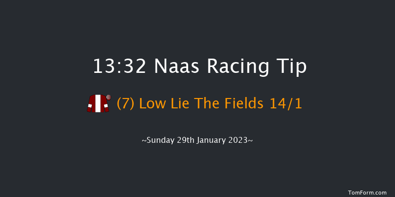 Naas 13:32 Handicap Chase 20f Sun 8th Jan 2023