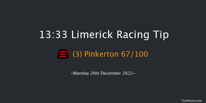 Limerick 13:33 Conditions Hurdle 20f Tue 22nd Nov 2022