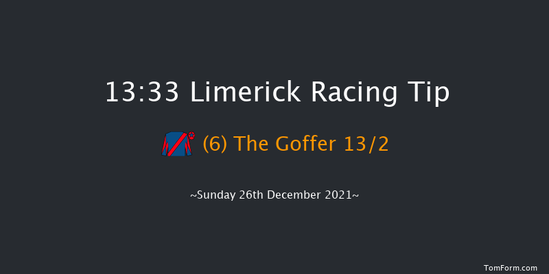Limerick 13:33 Conditions Hurdle 20f Tue 16th Nov 2021