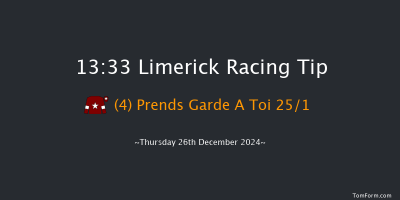 Limerick  13:33 Maiden Hurdle 23f Tue 19th Nov 2024