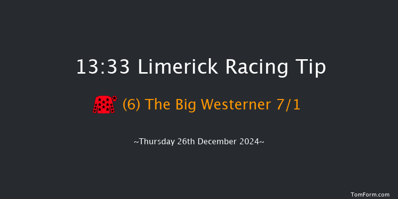 Limerick  13:33 Maiden Hurdle 23f Tue 19th Nov 2024