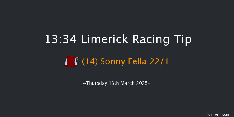 Limerick  13:34 Handicap Hurdle 23f Tue 28th Jan 2025