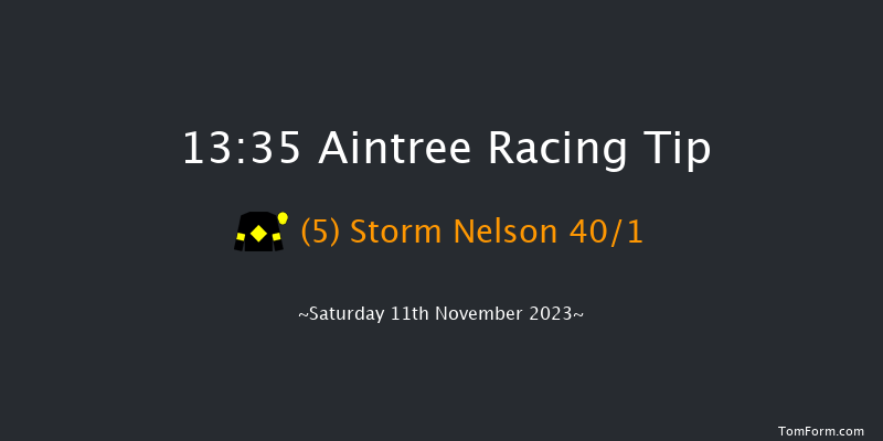 Aintree 13:35 Handicap Hurdle (Class 2) 25f Sun 29th Oct 2023