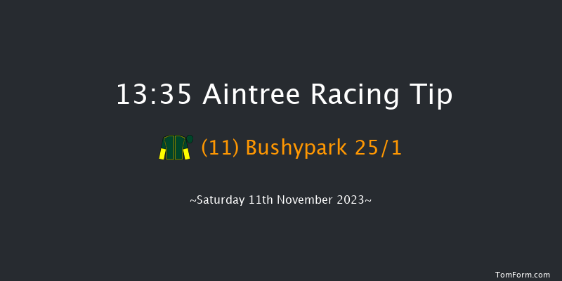 Aintree 13:35 Handicap Hurdle (Class 2) 25f Sun 29th Oct 2023
