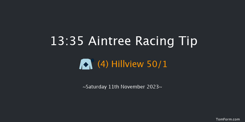 Aintree 13:35 Handicap Hurdle (Class 2) 25f Sun 29th Oct 2023