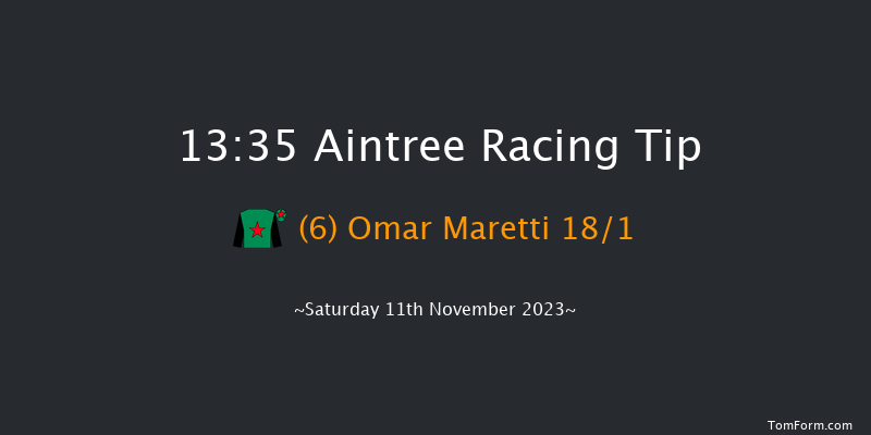 Aintree 13:35 Handicap Hurdle (Class 2) 25f Sun 29th Oct 2023