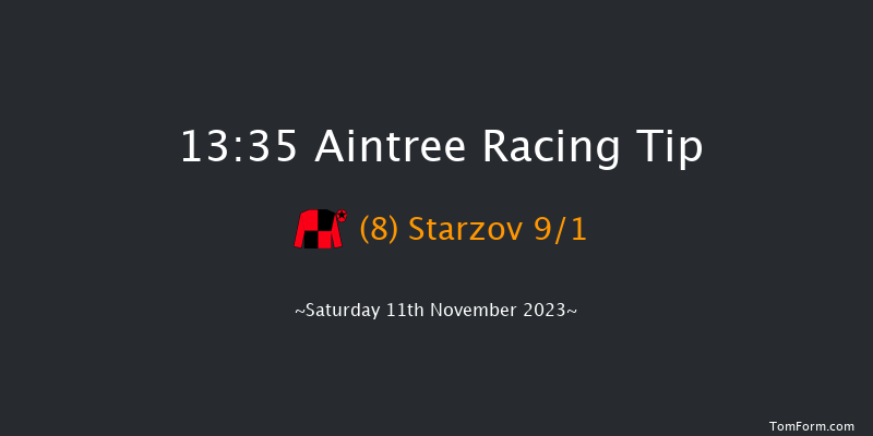 Aintree 13:35 Handicap Hurdle (Class 2) 25f Sun 29th Oct 2023