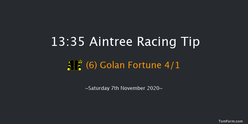 Pertemps Network Handicap Hurdle (GBB Race) Aintree 13:35 Handicap Hurdle (Class 2) 25f Sun 25th Oct 2020