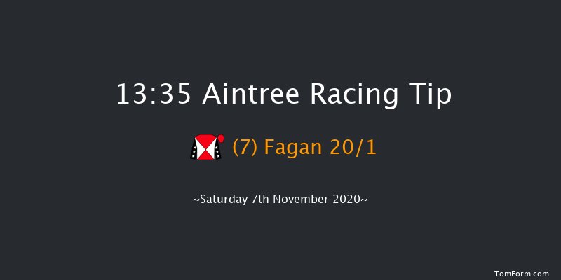 Pertemps Network Handicap Hurdle (GBB Race) Aintree 13:35 Handicap Hurdle (Class 2) 25f Sun 25th Oct 2020