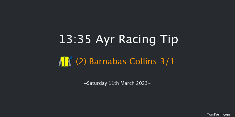 Ayr 13:35 Handicap Hurdle (Class 5) 16f Fri 10th Mar 2023