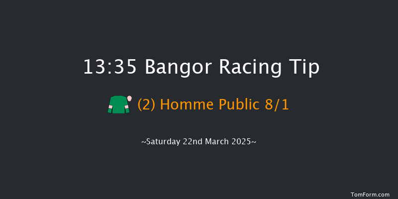 Bangor-on-dee  13:35 Handicap Hurdle (Class 2) 20f Wed 26th Feb 2025