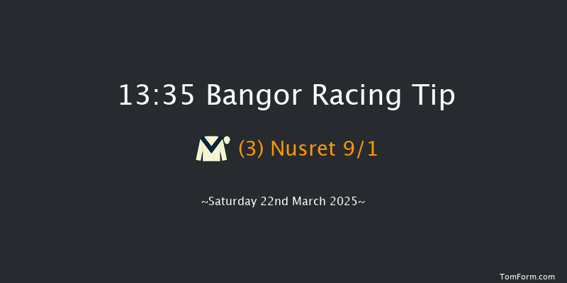 Bangor-on-dee  13:35 Handicap Hurdle (Class 2) 20f Wed 26th Feb 2025