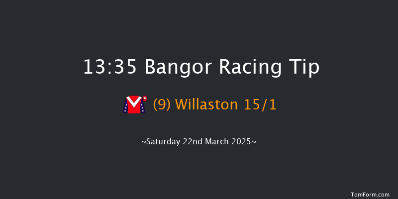 Bangor-on-dee  13:35 Handicap Hurdle (Class 2) 20f Wed 26th Feb 2025