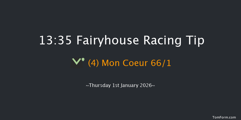 Fairyhouse 13-35 20f Sat 13th Dec 2025