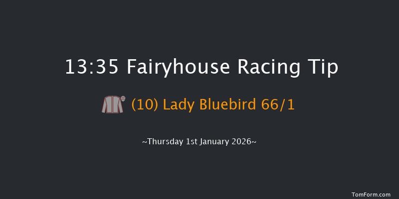 Fairyhouse 13-35 20f Sat 13th Dec 2025