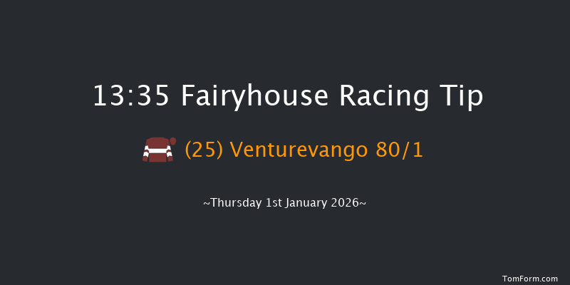 Fairyhouse 13-35 20f Sat 13th Dec 2025