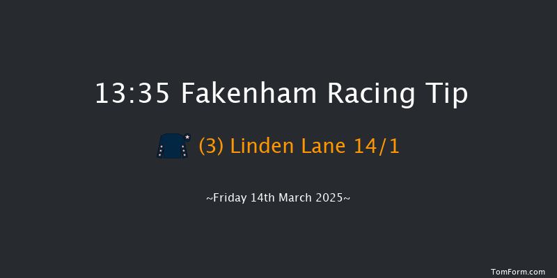 Fakenham  13:35 Maiden Hurdle (Class 4) 16f Fri 14th Feb 2025