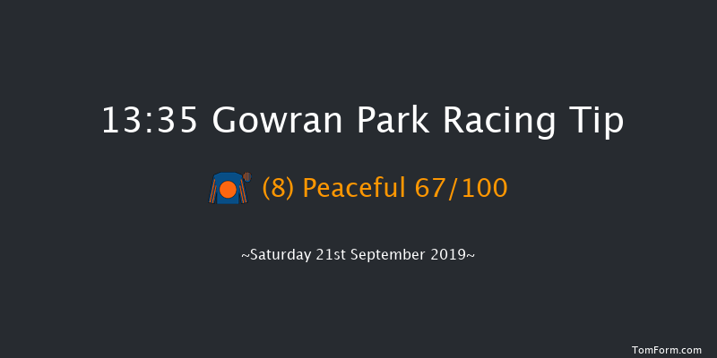Gowran Park 13:35 Maiden 8f Wed 4th Sep 2019