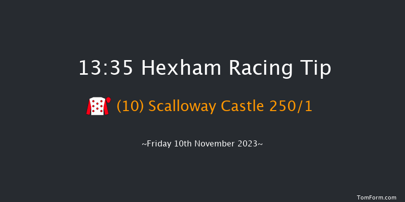 Hexham 13:35 Maiden Hurdle (Class 4) 20f Sat 14th Oct 2023