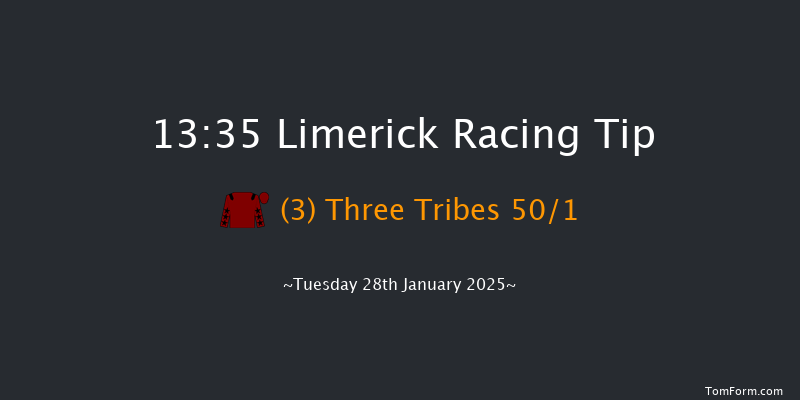 Limerick  13:35 Handicap Hurdle 21f Sun 29th Dec 2024