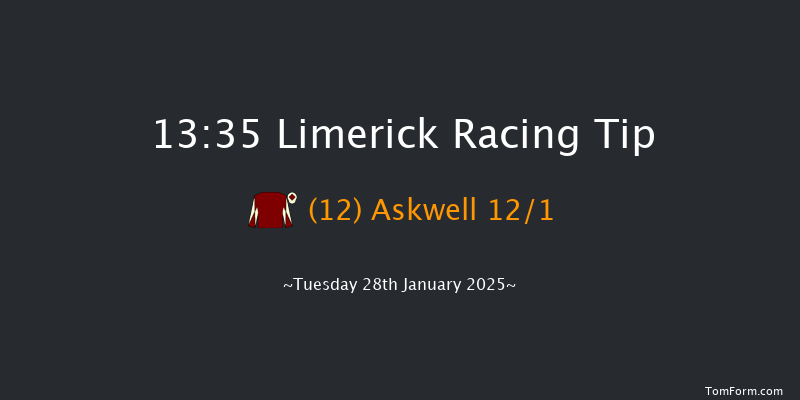 Limerick  13:35 Handicap Hurdle 21f Sun 29th Dec 2024