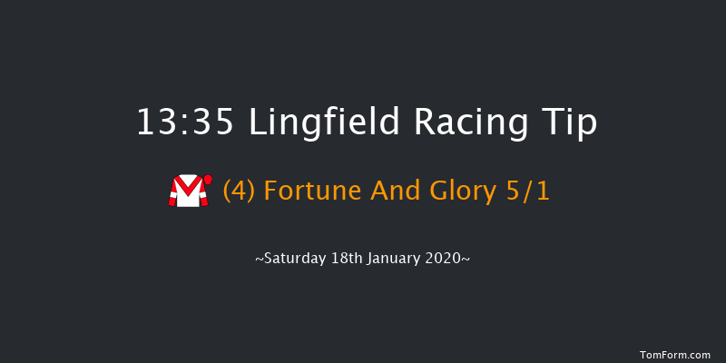 Lingfield 13:35 Handicap (Class 5) 8f Fri 17th Jan 2020