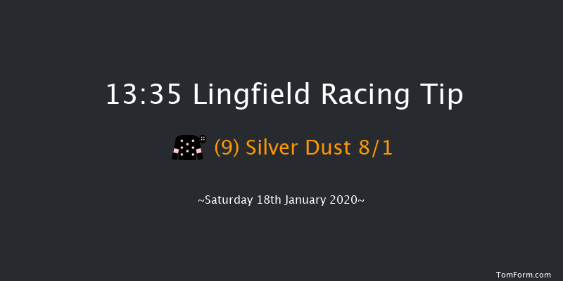 Lingfield 13:35 Handicap (Class 5) 8f Fri 17th Jan 2020