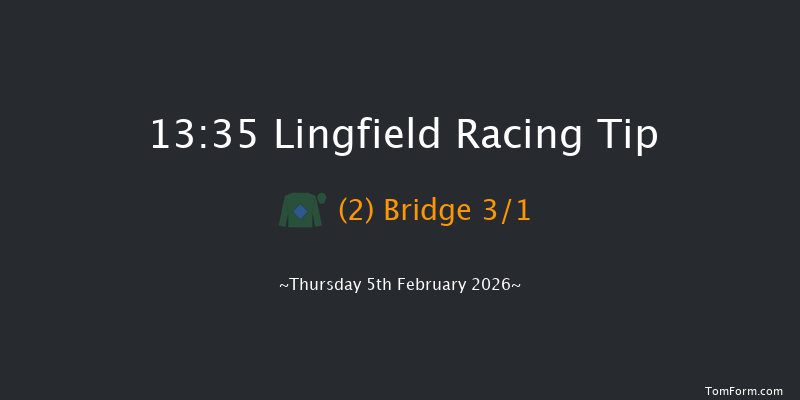 Lingfield 13-35 (Class 5) 16f Sat 31st Jan 2026