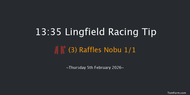 Lingfield 13-35 (Class 5) 16f Sat 31st Jan 2026