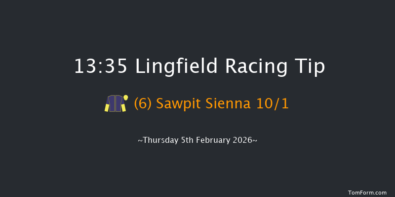 Lingfield 13-35 (Class 5) 16f Sat 31st Jan 2026
