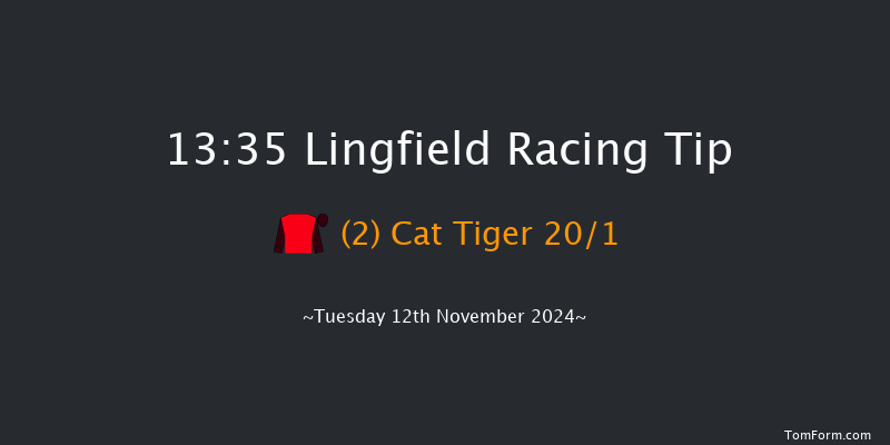 Lingfield  13:35 Handicap Chase (Class 4) 20f  Sat 14th Sep 2024