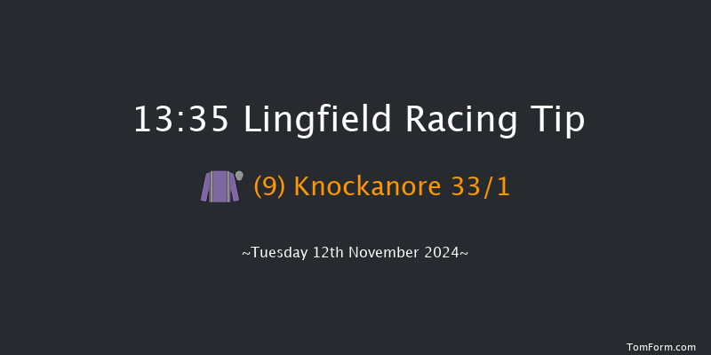 Lingfield  13:35 Handicap Chase (Class 4) 20f  Sat 14th Sep 2024