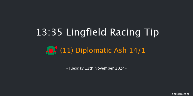 Lingfield  13:35 Handicap Chase (Class 4) 20f  Sat 14th Sep 2024