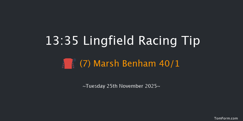 Lingfield 13-35 (Class 5) 8f Thu 20th Nov 2025