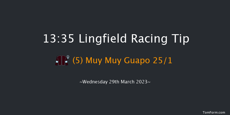 Lingfield 13:35 Handicap (Class 5) 7f Mon 27th Mar 2023