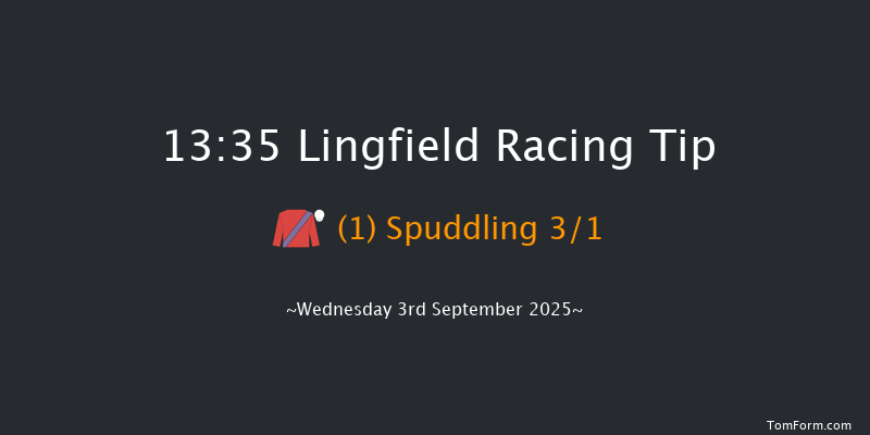 Lingfield 13-35 (Class 6) 12f Sat 30th Aug 2025