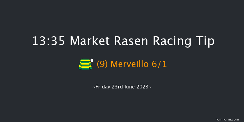 Market Rasen 13:35 Handicap Hurdle (Class 5) 23f Fri 9th Jun 2023