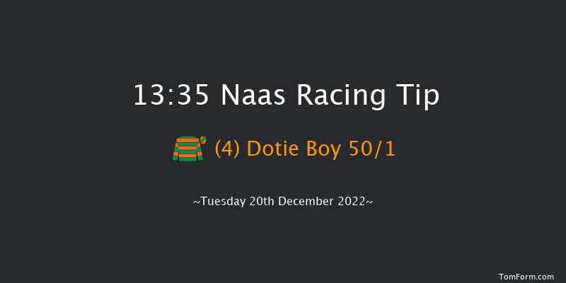 Naas 13:35 Maiden Hurdle 19f Sat 12th Nov 2022