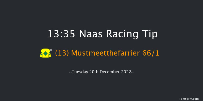 Naas 13:35 Maiden Hurdle 19f Sat 12th Nov 2022