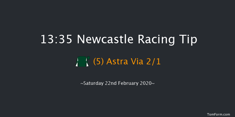 Vertem Investing For The Future Conditional Jockeys' Handicap Hurdle Newcastle 13:35 Handicap Hurdle (Class 5) 16f Wed 19th Feb 2020