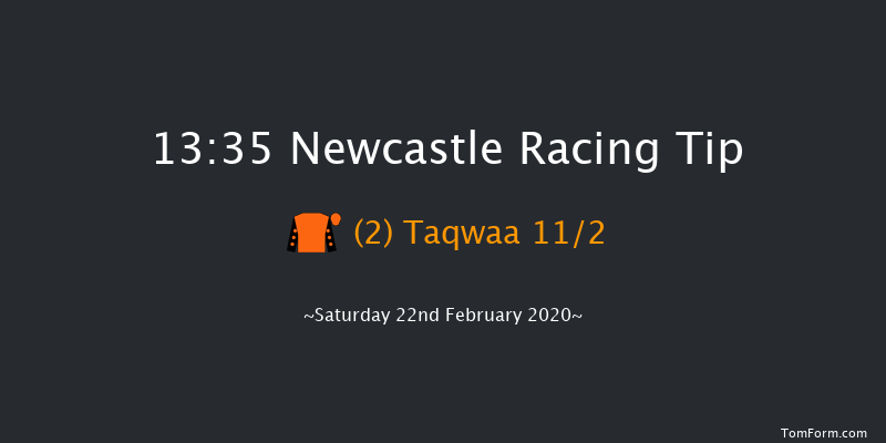 Vertem Investing For The Future Conditional Jockeys' Handicap Hurdle Newcastle 13:35 Handicap Hurdle (Class 5) 16f Wed 19th Feb 2020